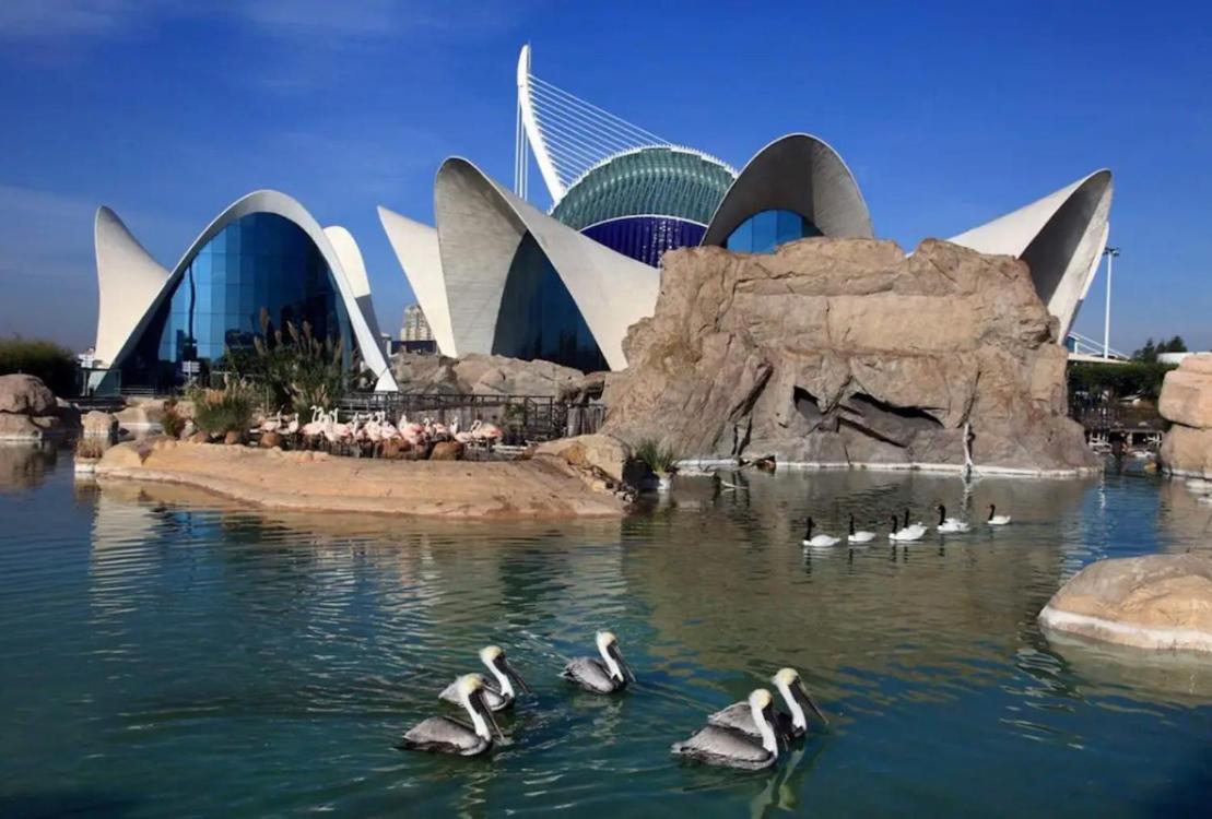 Lovely Apartment Near Beach & Science City Valencia Exterior foto